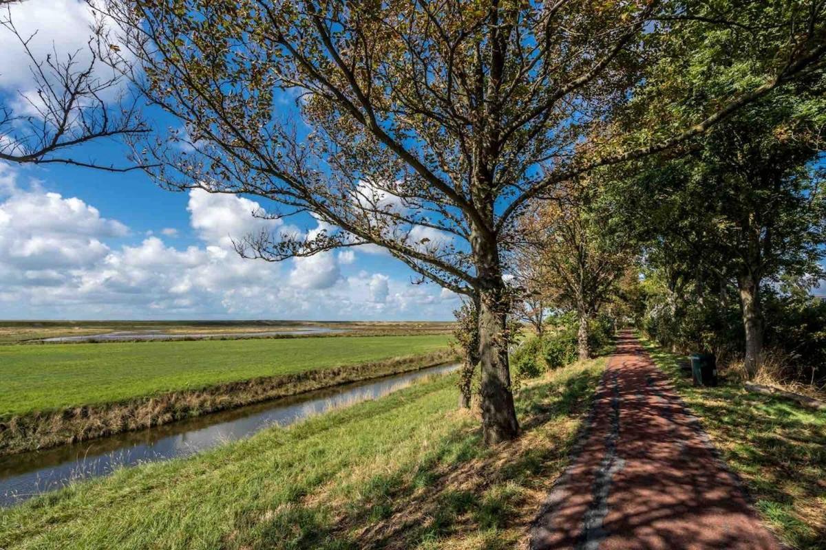 Tureluur Met Prive Sauna Aan Natuurgebied *